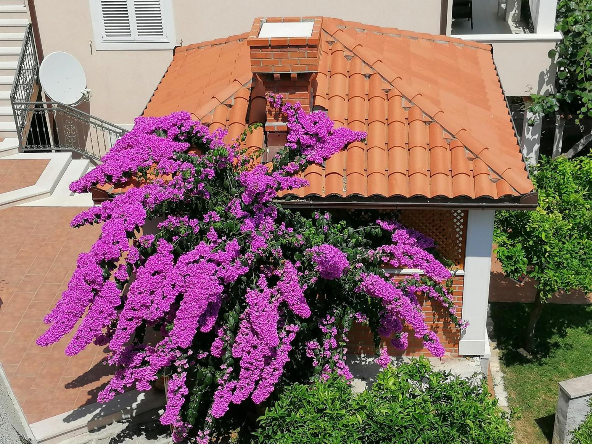 Green Park Apartments 2 Dubrovnik Kültér fotó