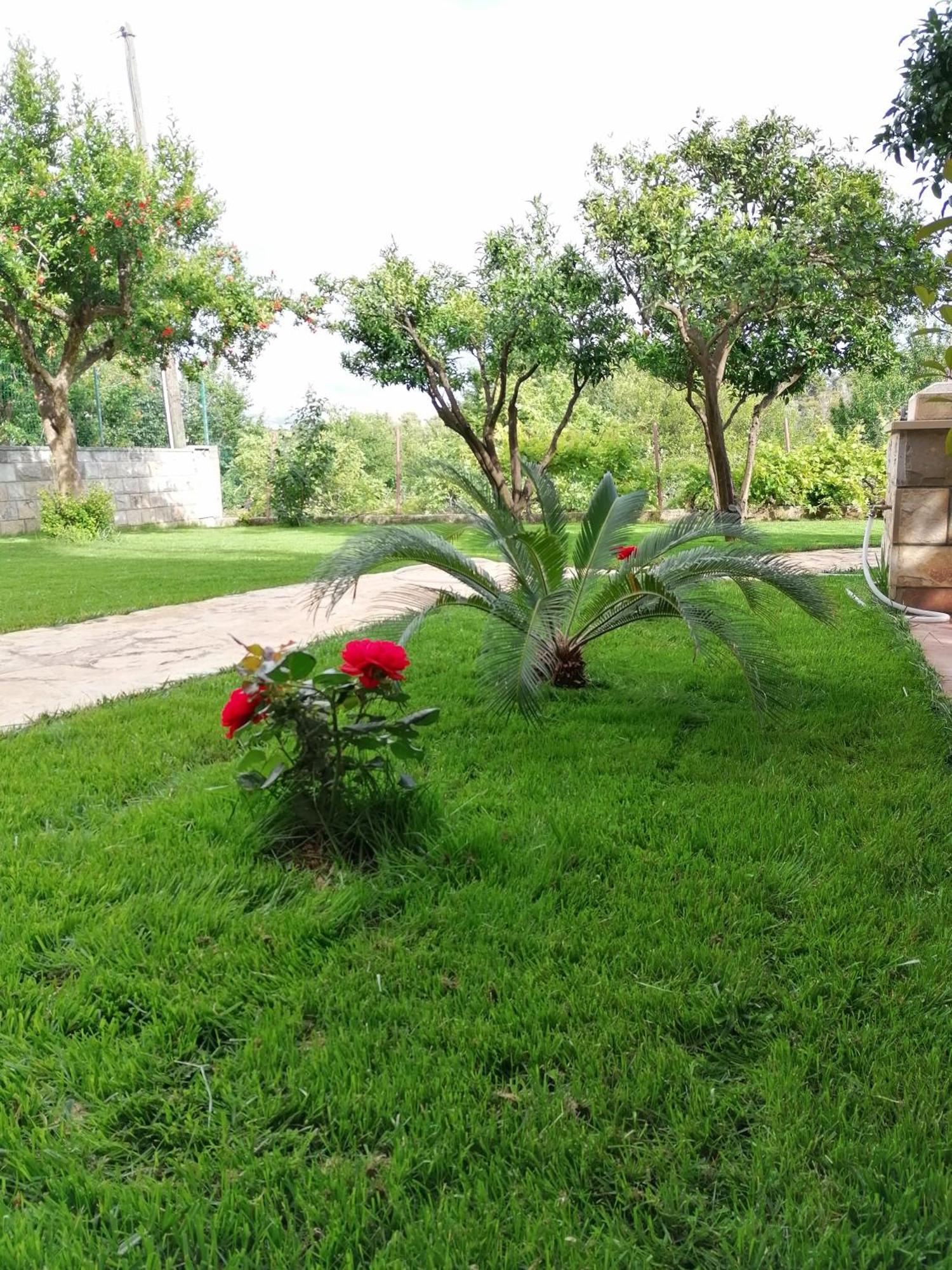 Green Park Apartments 2 Dubrovnik Kültér fotó